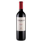 Vinho Tinto Argentino Benjamin Malbec Nieto Senetiner 750ml