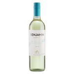 Vinho-Benjamin-Branco-Suave-Torrontes-750ml