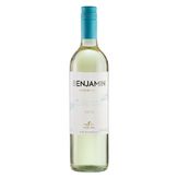 Vinho Branco Argentino Benjamin Nieto Senetiner 750ml