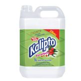 Desinfetante de Eucalipto Kalipto Galão 5l