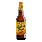 Cerveja-Lager-Puro-Malte-Brahma-Extra-600ml