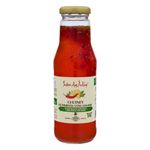 Chutney-Pimenta-com-Gengibre-Sabor-das-Indias-370g