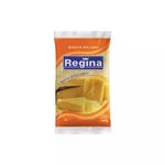 Queijo-Parmesao-Ralado-Regina-100g