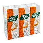 Cha-Amarelo-Physalis-Feel-Good-Pack-com-3-Unidades-1l-Cada