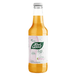 Cha-Branco-com-Gas-Pitaya-Feel-Good-Fizz-Pack-com-6-Unidades-275ml-Cada