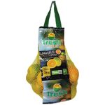 Laranja-Pera-Fresh-Citrus