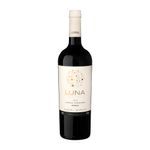 Vinho-Tinto-Seco-Argentino-Syrah-2019-Luna-Agrelo-Mendoza-Garrafa-750ml