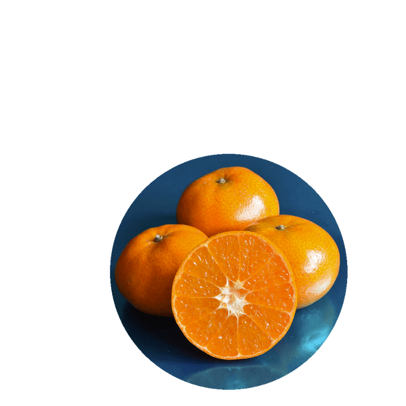 Tangerina-Nadorcott-Bravis-1kg-