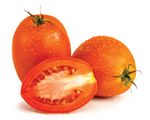 Tomate-Italiano-