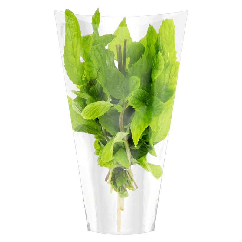 Hortela