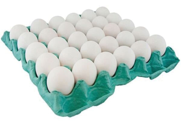 Ovos-Brancos-Grandes-Sunny-Eggs-Bandeja-com-30-Unidades