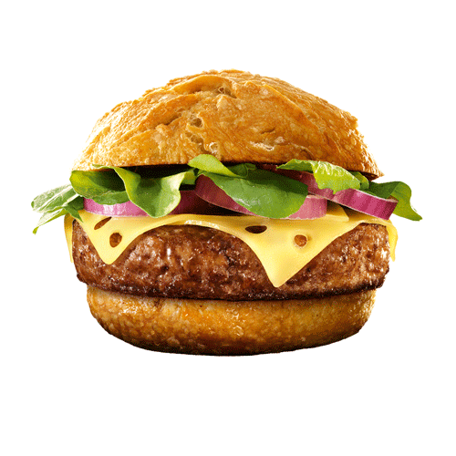 Hamburguer-de-Carne-Bovina-Gran-Angus-Seara-Gourmet-400g