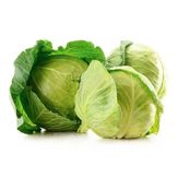 Repolho Verde