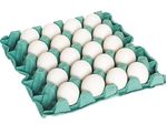 Ovos-Grandes-Brancos-Avimor-Bandeja-20-Unidades-