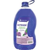 Limpador Perfumado Member's Mark Intense Galão 5L