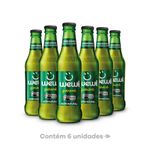 Refrigerante-Natural-Guarana-Wewi-Pack-com-6-Unidades-255ml-cada