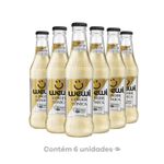 Agua-Tonica-Ginger-Wewi-Pack-com-6-Unidades-255ml-cada