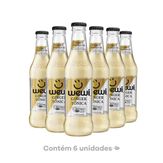 Água Tônica Ginger Wewi Pack com 6 Unidades 255ml cada