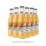 Água Tônica Tangerina Wewi Pack 6 Unidades 255ml Cada