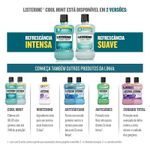 portfolio_coolmint