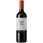 Vinho-Tinto-Chileno-Casilero-del-Diablo-Carmenere-Concha-y-Toro-750ml