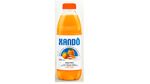 Suco-Mix-Xando-Frasco-900ml