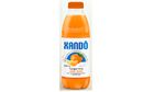 Suco-de-Tangerina-Xando-Frasco-900ml