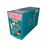 Sachê Purina One Gato Salmão 15 Unidades 85g Cada