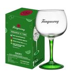 Taca-de-Gin-Tanqueray-600ml