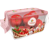 Tomate Pizzadoro Trebeschi Pote 800g