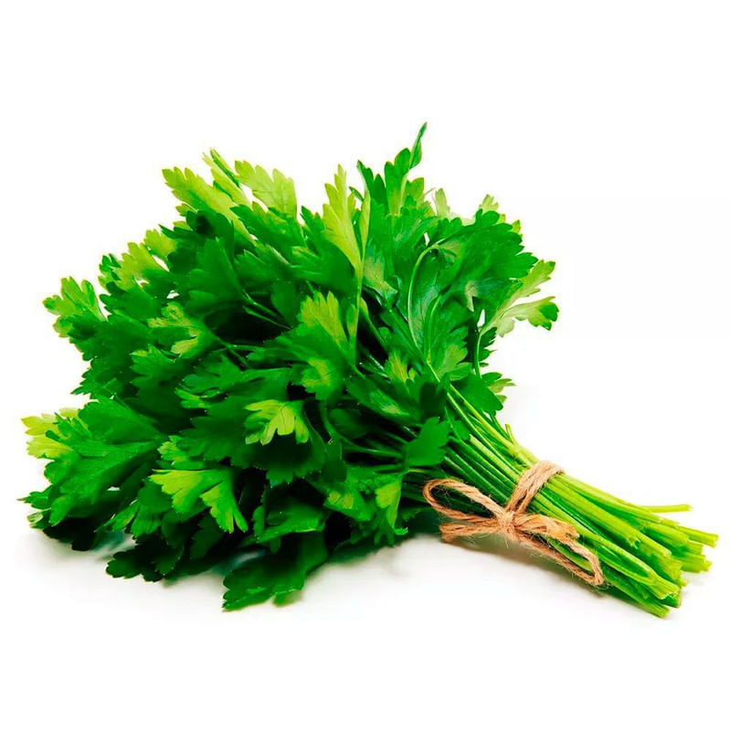 Salsa-Hidroponica