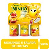 Nestlé Ninho Iogurte Polpa de Morango Salada de Frutas e Maçã e Banana 540G com 6 unidades