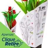 Tulipas Cores Sortida Pote 12