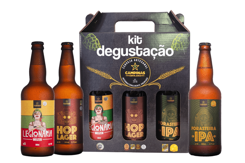 Kit-Degustacao-Cerveja-Artesanal-Campinas-Cervejaria-Caixa-com-3-Unidades-de-500ml-Cada