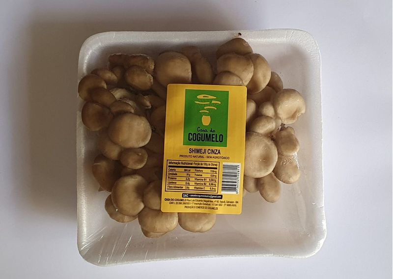 Cogumelo-Shimeji-Cinza-Casa-do-Cogumelo-Bandeja-200g
