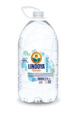 Agua-Mineral-sem-Gas-Lindoya-Verao-Garrafa-5L