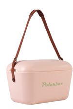 Caixa-Termica-Nude-20l-Polarbox