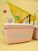 Caixa-Termica-Nude-20l-Polarbox