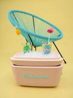 Caixa-Termica-Nude-20l-Polarbox
