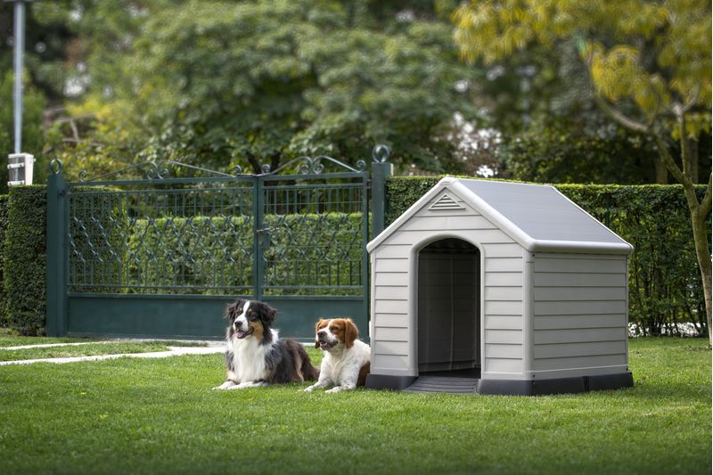 K245541_7290106921177_Casa_per_cane_Lifestyle9--1-