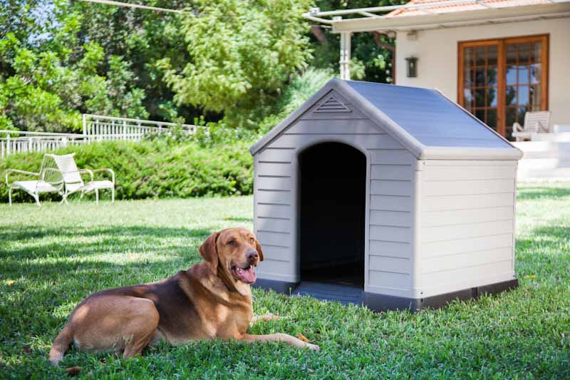 K245541_7290106921177_Casa_per_cane_Lifestyle9--2-