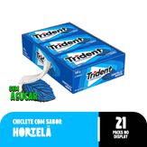 Chiclete Trident Hortelã Sem Açúcar - Caixa Com 21 Unid. de 8g