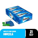 Chiclete Trident Hortelã Sem Açúcar 8g - Caixa com 21 unidades