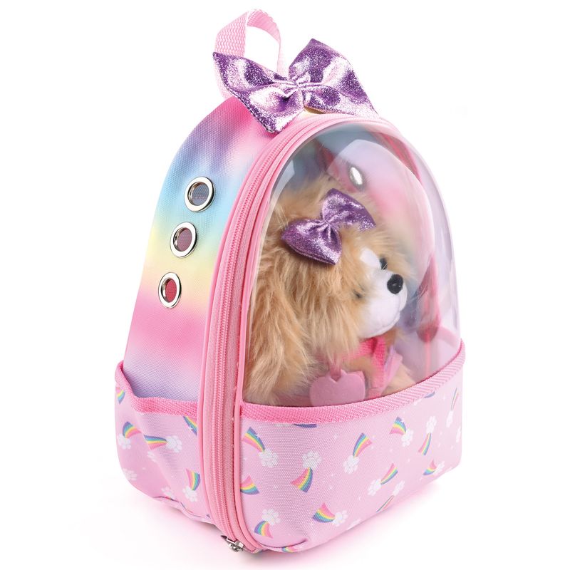 Conjunto-Para-Transportar-Pet-