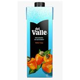 Suco Del Valle Nectar Caju Sem Açúcar 1L