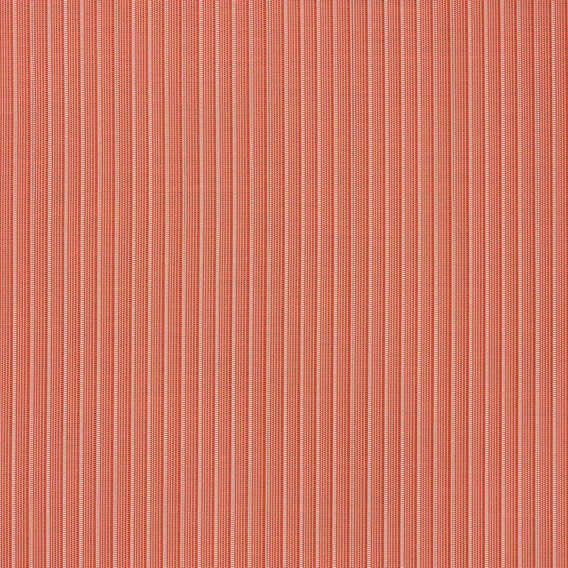 0769924725986_7.jpg