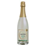 7896023021817-Salton-Zero-Alcool.jpg