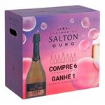 7896023022128---Kit-Salton-Ouro-Brut.jpg