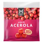 Polpa-De-Acerola-10x100g-Mm-EAN--07891737016937.jpg